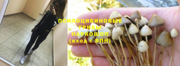 не бодяженный Алзамай