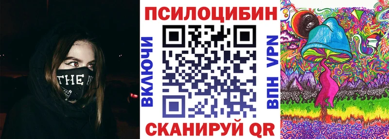 Псилоцибиновые грибы ЛСД  даркнет сайт  Северская 